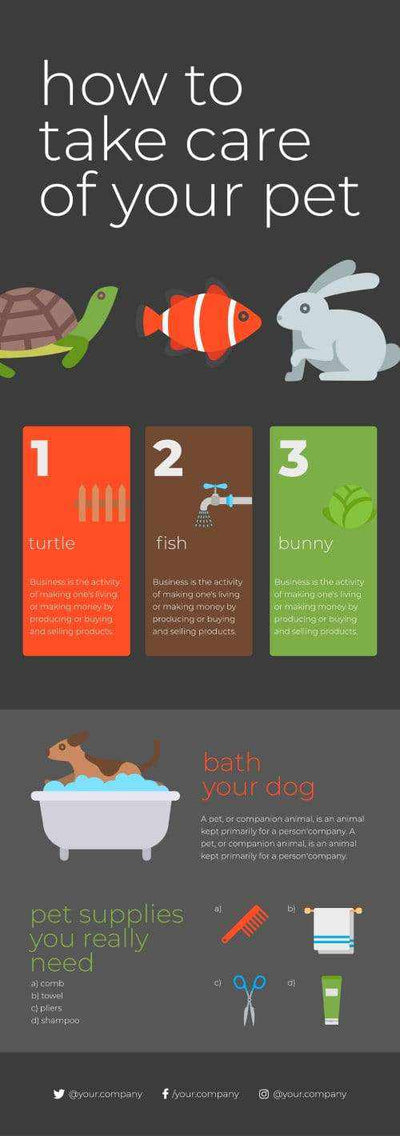 Pet-Care-Infographics-V03-Pet-Care-Powerpoint-Keynote-Google-Slides-Adobe-Illustrator-Infografolio