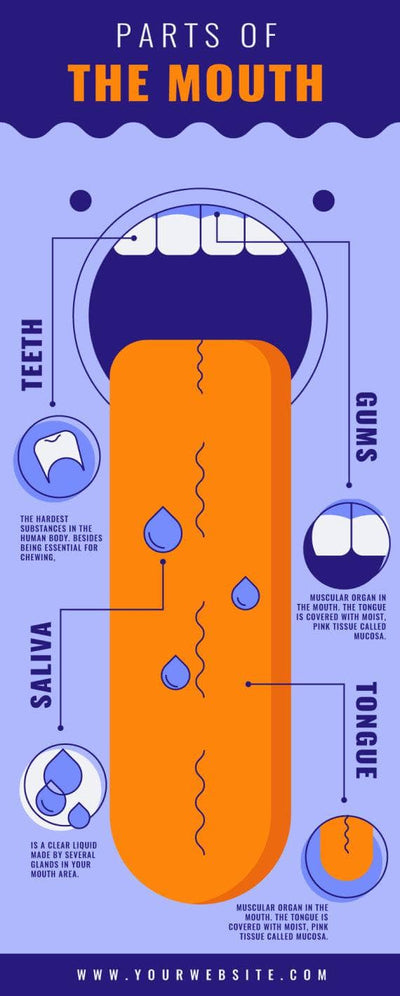 Anatomy-Infographics Infographics Parts of the Mouth Anatomy Infographic Template powerpoint-template keynote-template google-slides-template infographic-template
