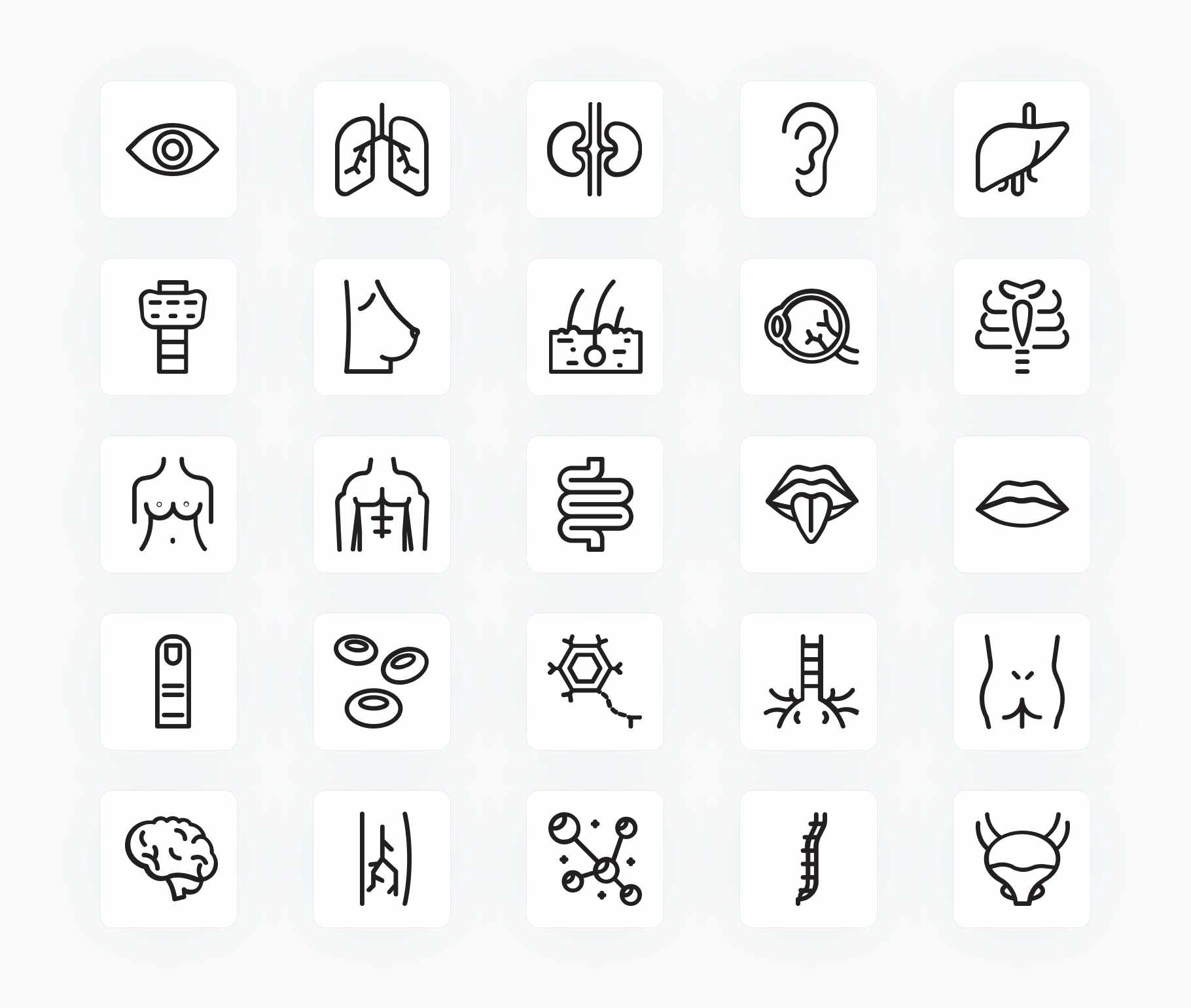 Anatomy-Outline-Vector-Icons Icons Anatomy Outline Vector Icons S12172101 powerpoint-template keynote-template google-slides-template infographic-template