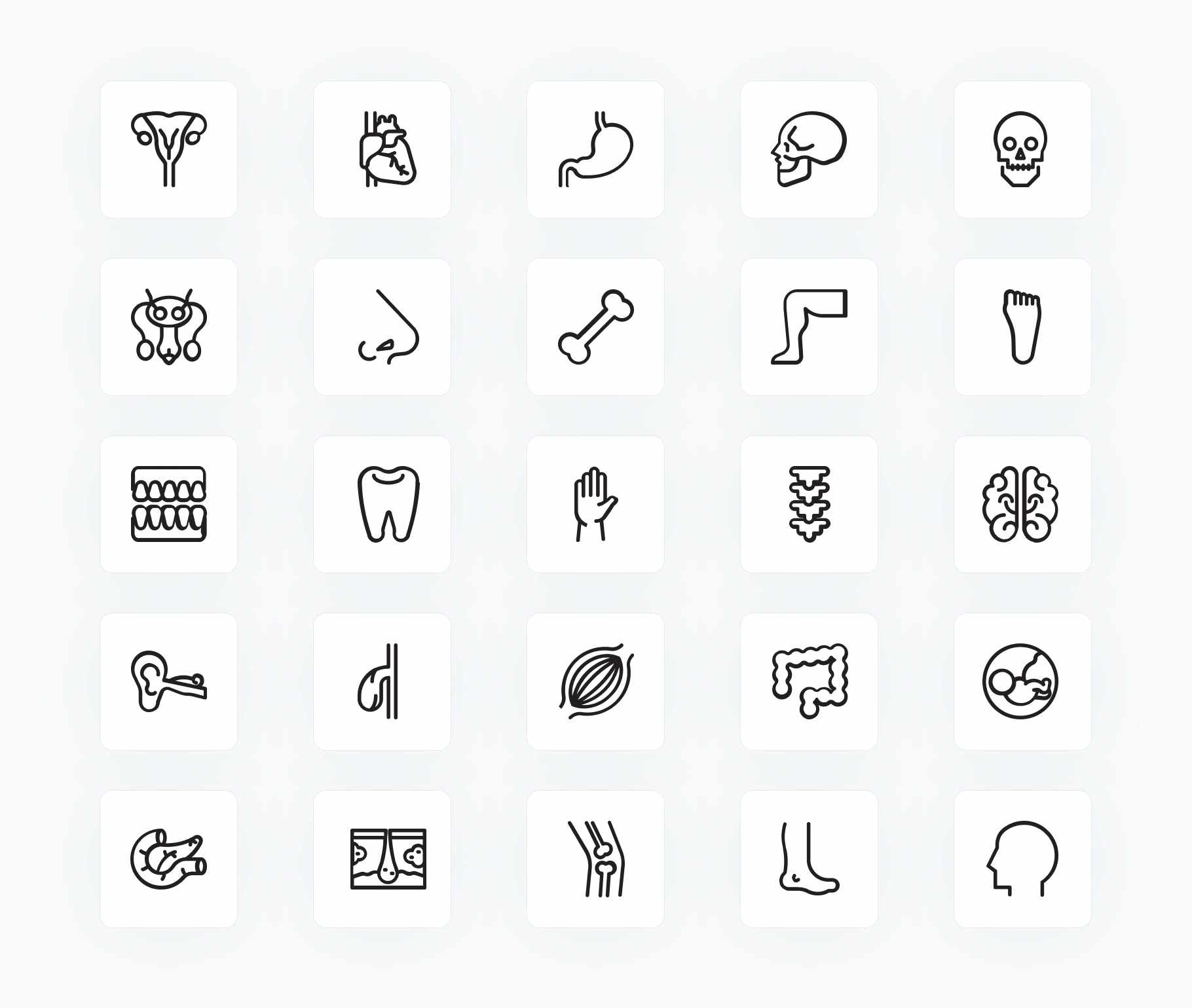 Anatomy-Outline-Vector-Icons Icons Anatomy Outline Vector Icons S12172102 powerpoint-template keynote-template google-slides-template infographic-template
